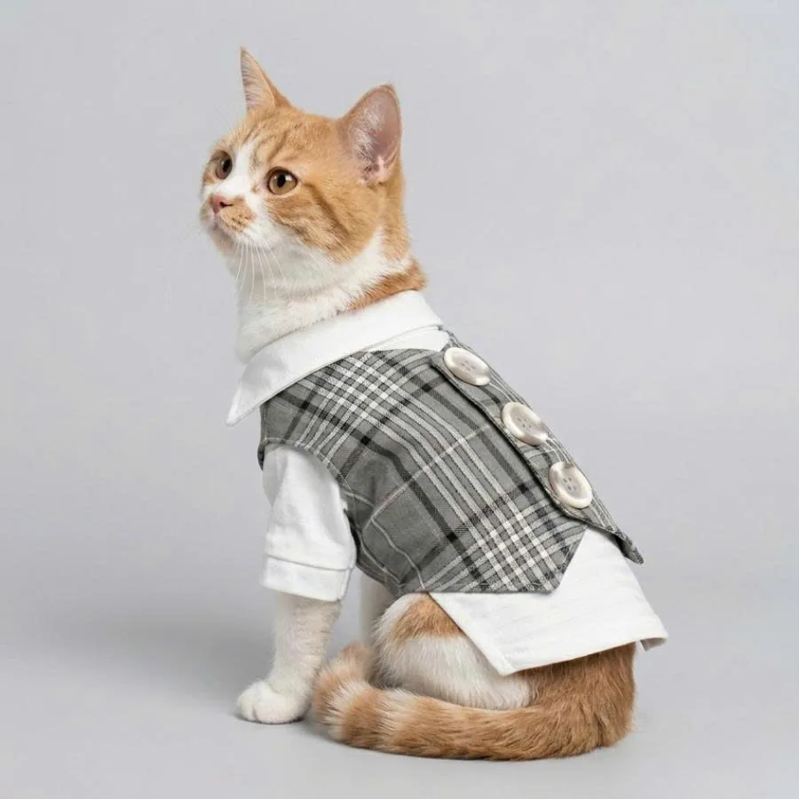 Cat in a tailored plaid vest - Viepex pet apparel