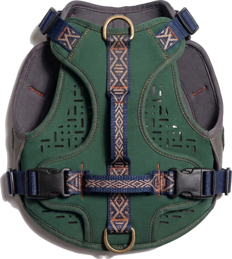 Custom green padded dog harness with navy jacquard webbing and brass D-rings