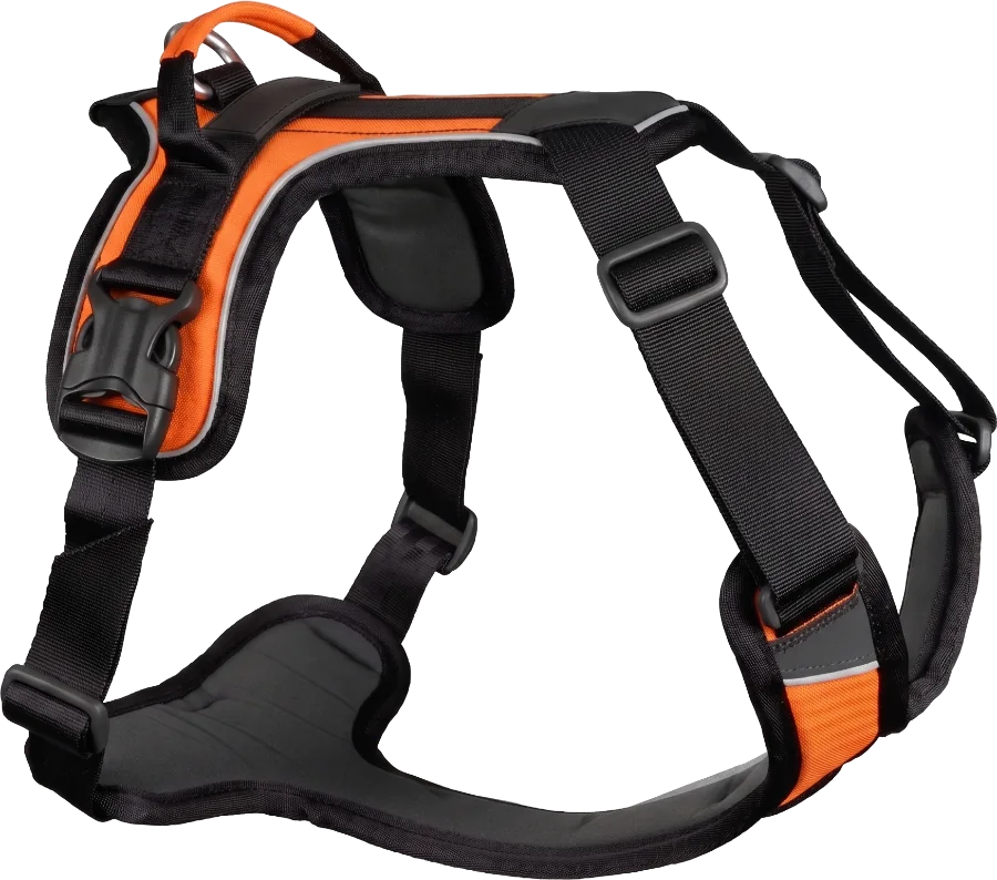 Black and orange Y-front dog harness with grab handle - Viepex custom harnesses