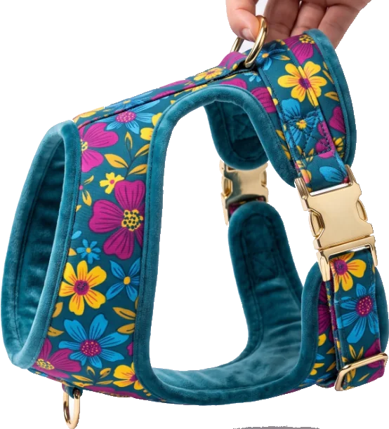 Floral printed padded harness with velvet trim and gold hardware