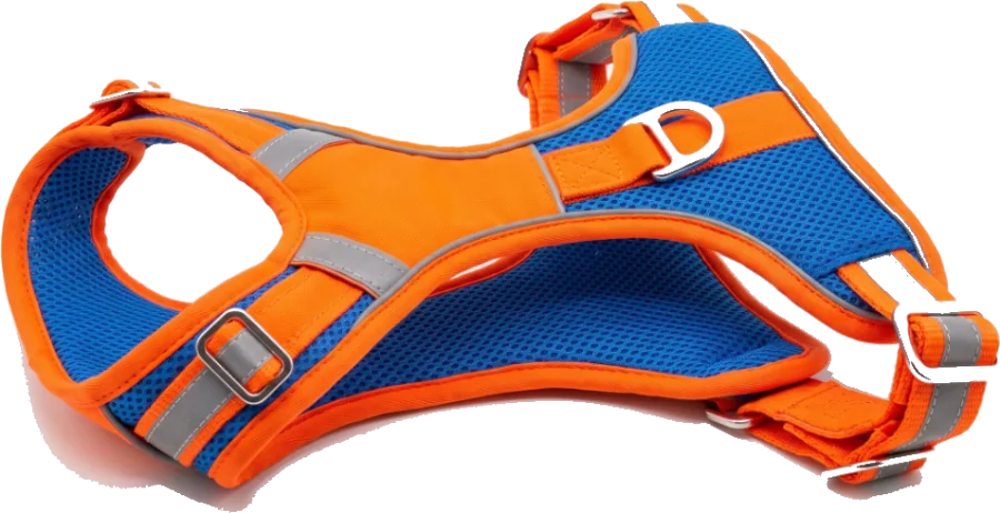 Orange and blue air-mesh harness with reflective strips