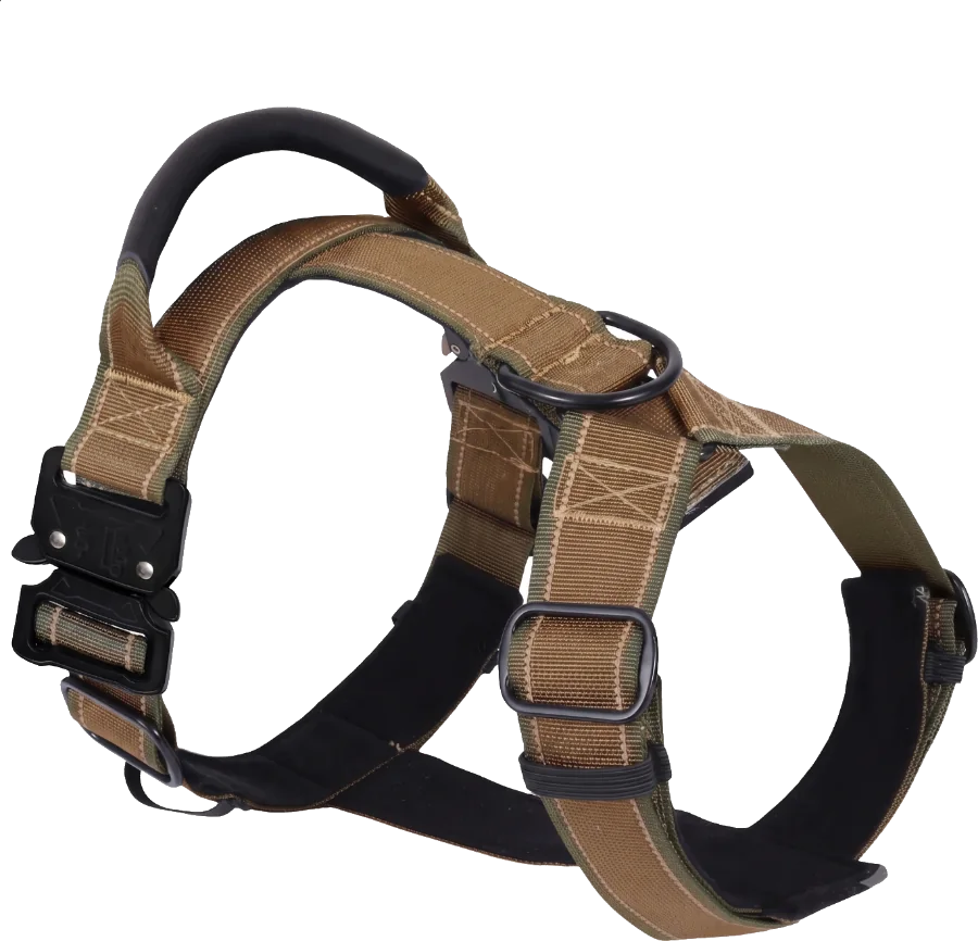 Tactical harness in coyote brown webbing with metal buckle and grab handle