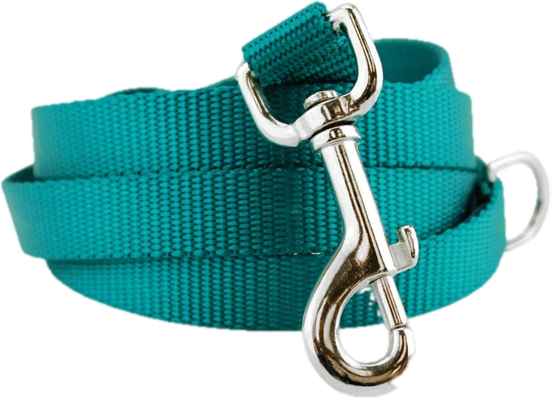 Teal nylon webbing dog leash with metal clasp