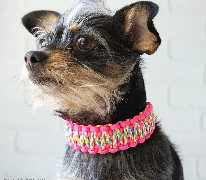 Handwoven paracord dog collar in red, white and blue