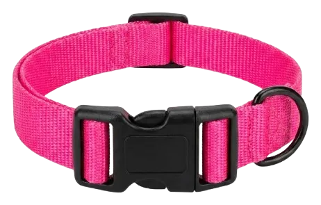 Solid pink webbing collar