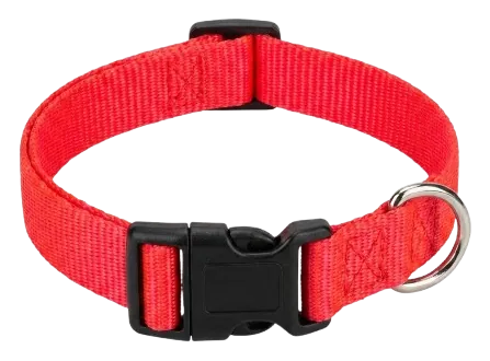 Solid red webbing collar