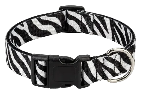 Zebra-print webbing collar