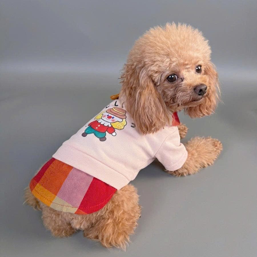 Poodle in a pink clown-print polo with check skirt