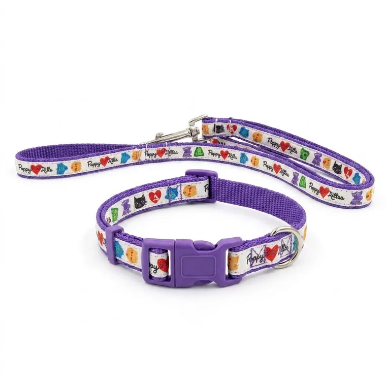 Matching purple-print dog collar and lead set