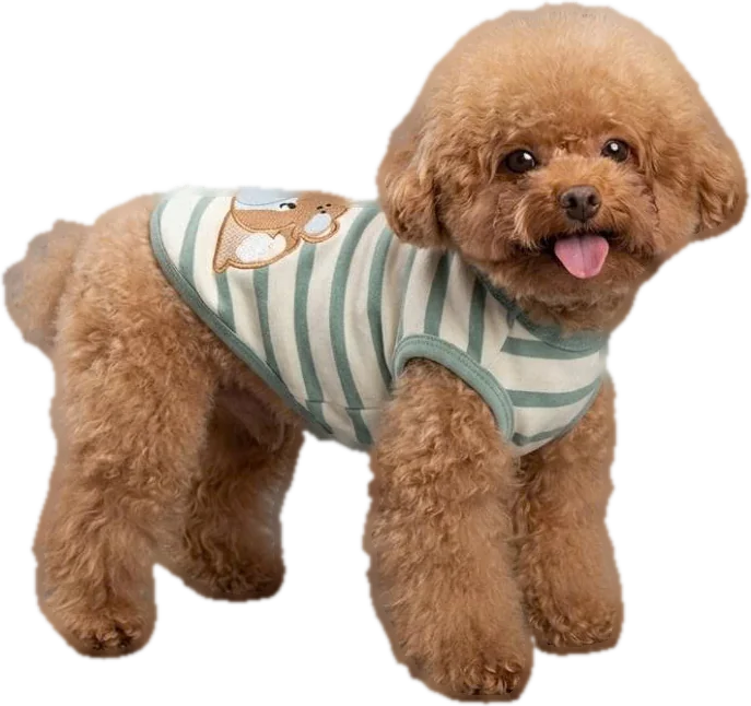 Poodle in a striped bear-print pajama tee